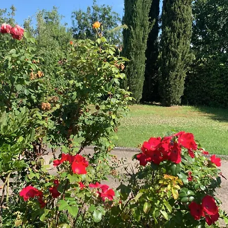 Casa Andreini Habitación en casa particular Arezzo